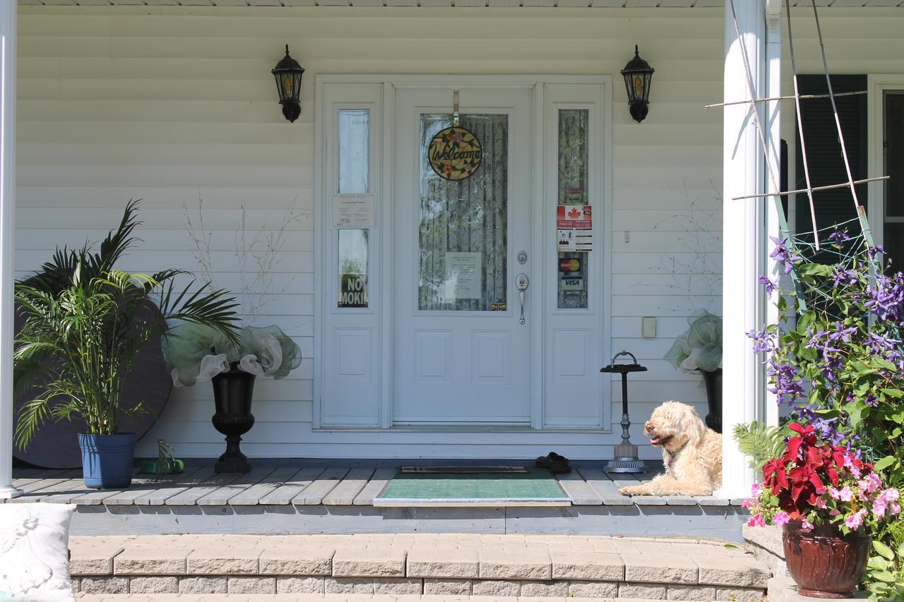 Terrace Green B&B Winchester ภายนอก รูปภาพ